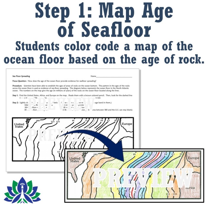 Flying colors science worksheet answers key