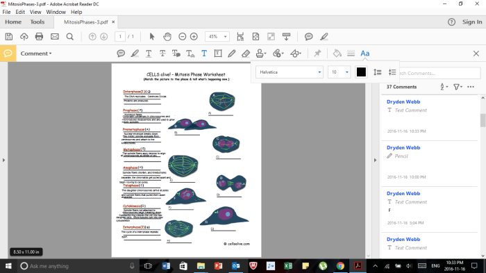 Cells alive worksheet answer key