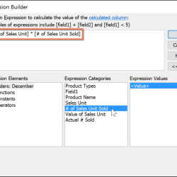 Access expression builder calculated microsoft fields 2007 pt 2010