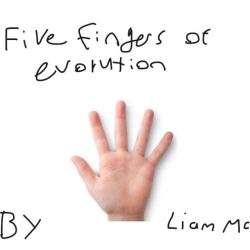 Five fingers of evolution worksheet