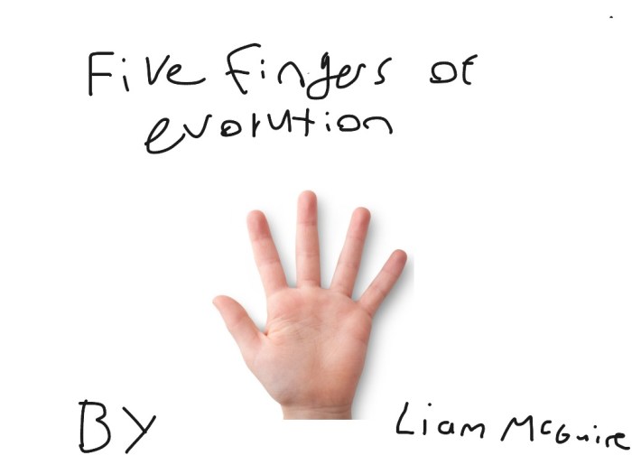 Five fingers of evolution worksheet