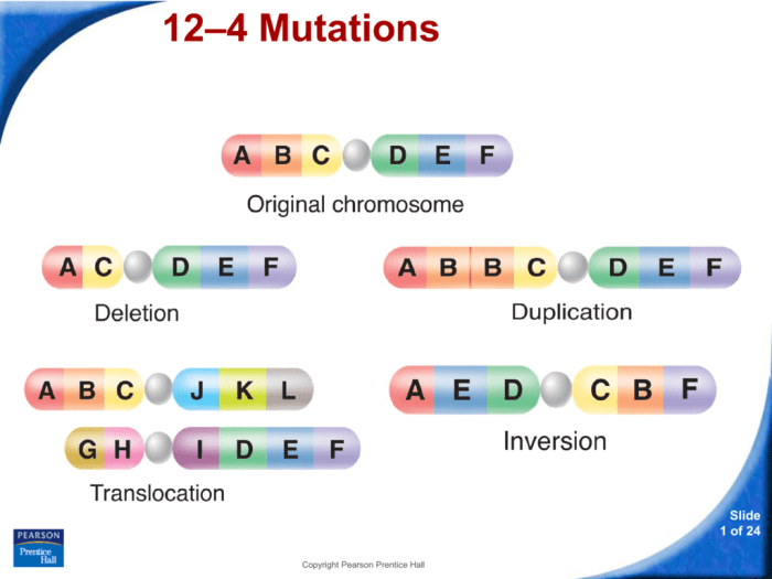 Mutation worksheet deletion insertion and substitution