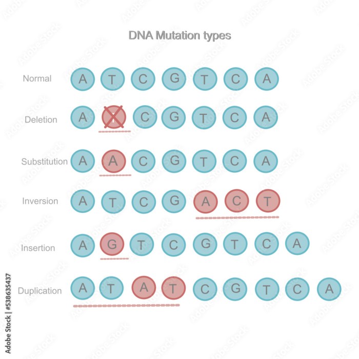 Mutation worksheet deletion insertion and substitution