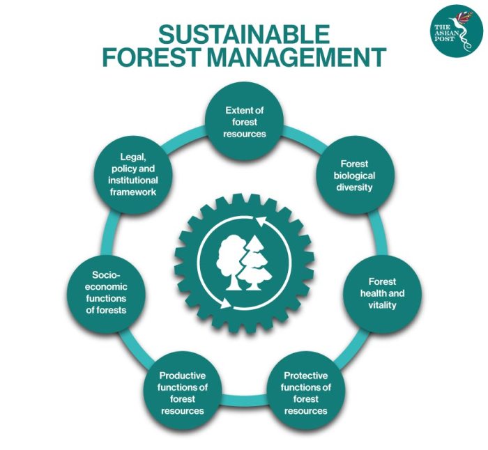 Why is uneven-aged management a better way to manage forests