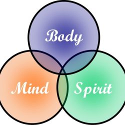 Mind spirit heart body part cross matt devotional series