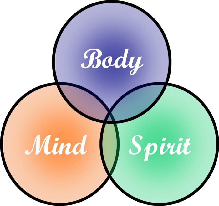 Mind spirit heart body part cross matt devotional series