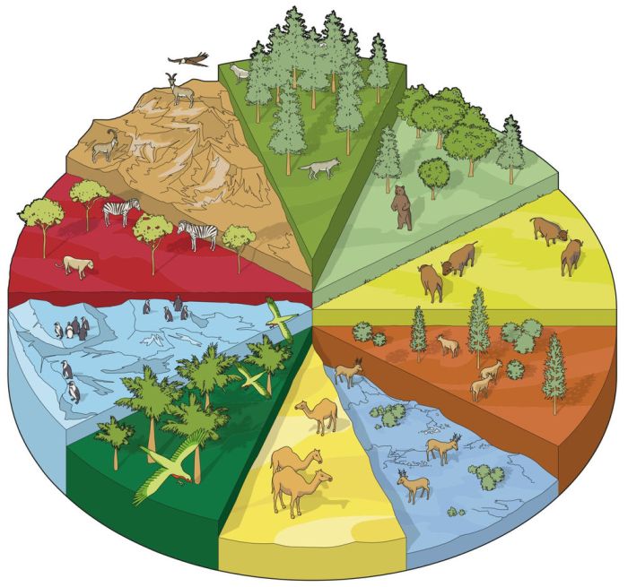 Uneven forests forestrypedia