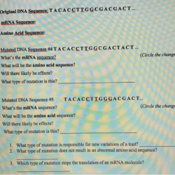 Mutation worksheet deletion insertion and substitution