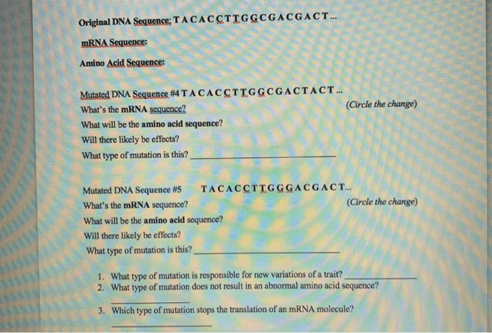 Mutation worksheet deletion insertion and substitution