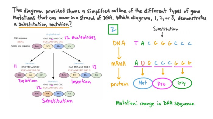 Mutation worksheet deletion insertion and substitution